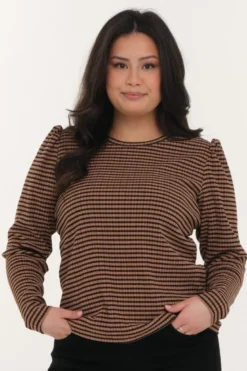 Sivi topp